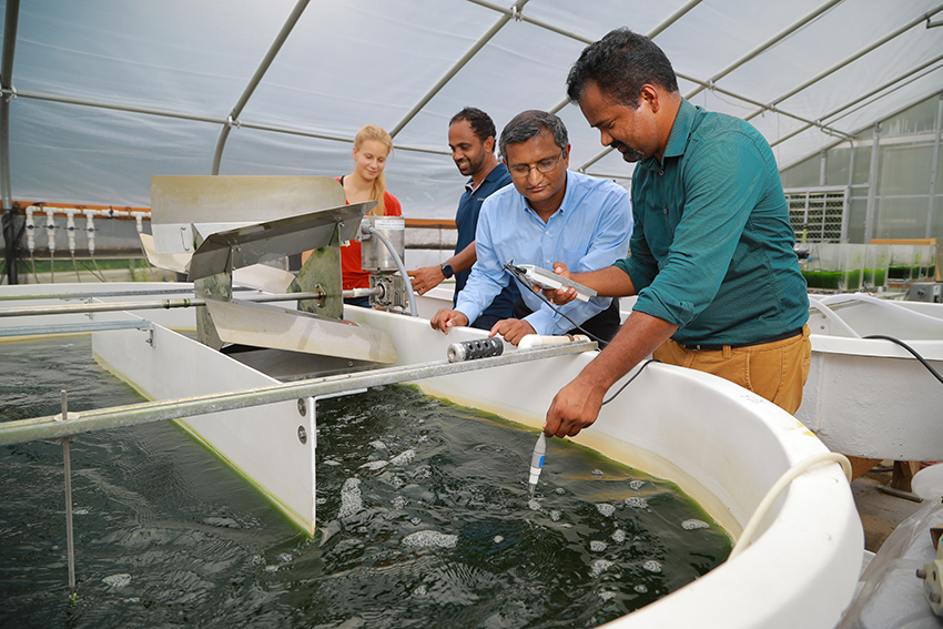 Sridhar Viamajala, Ph.D., and others using a device to measure water quality in a greenhouse